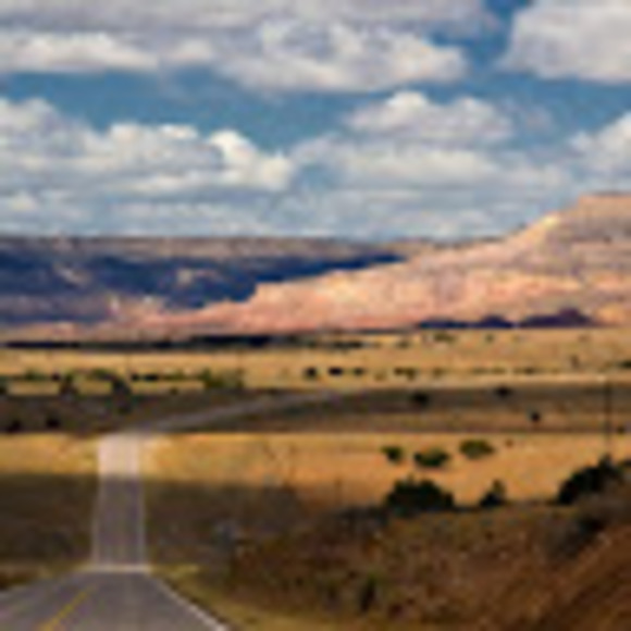 Meet your Posher, Marcy - Picture 1 of 1